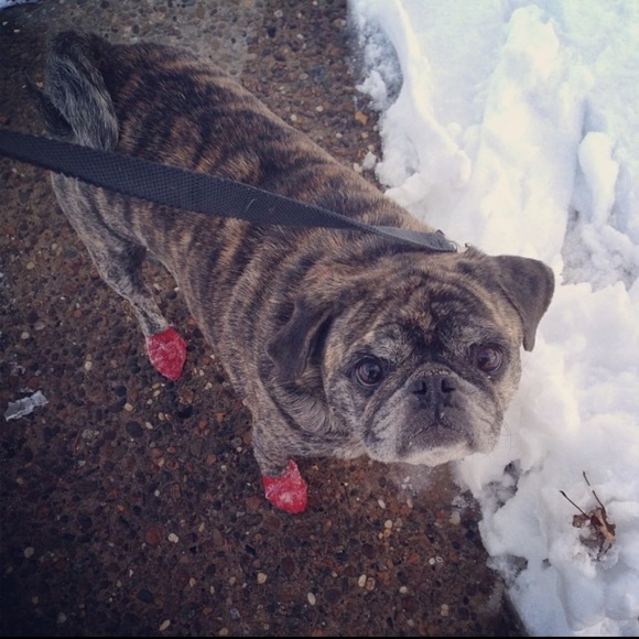 Meet your Posher, Algina - Picture 1 of 1